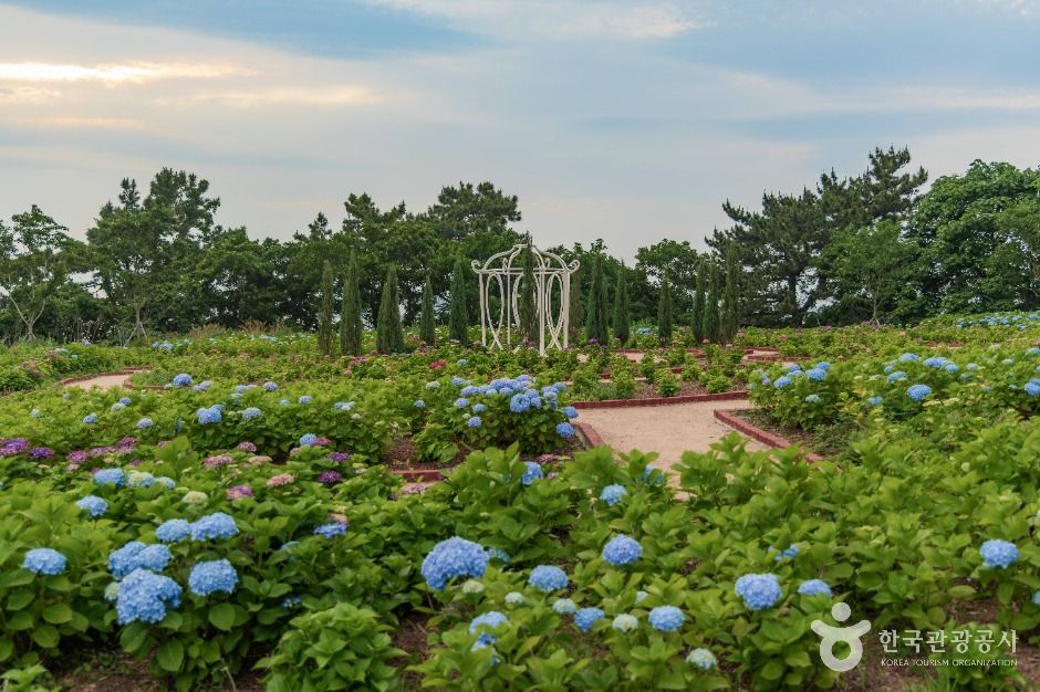 초양도 여행 추천 - 메고지고 초양도 여행 추천 - 메고지고