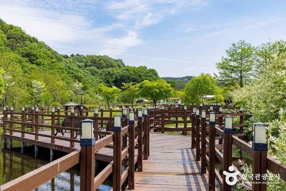 오창미래지농촌테마공원 캠핑장 여행 추천 - 메고지고 오창미래지농촌테마공원 캠핑장 여행 추천 - 메고지고