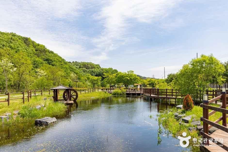 오창미래지농촌테마공원 캠핑장 여행 추천 - 메고지고 오창미래지농촌테마공원 캠핑장 여행 추천 - 메고지고