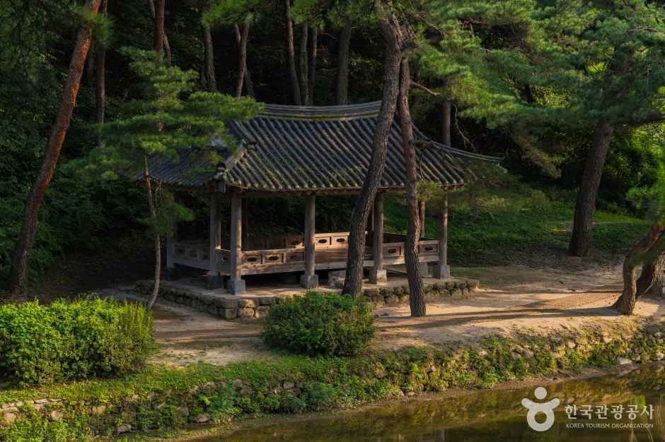 영주 소수서원 여행 추천 - 메고지고 영주 소수서원 여행 추천 - 메고지고