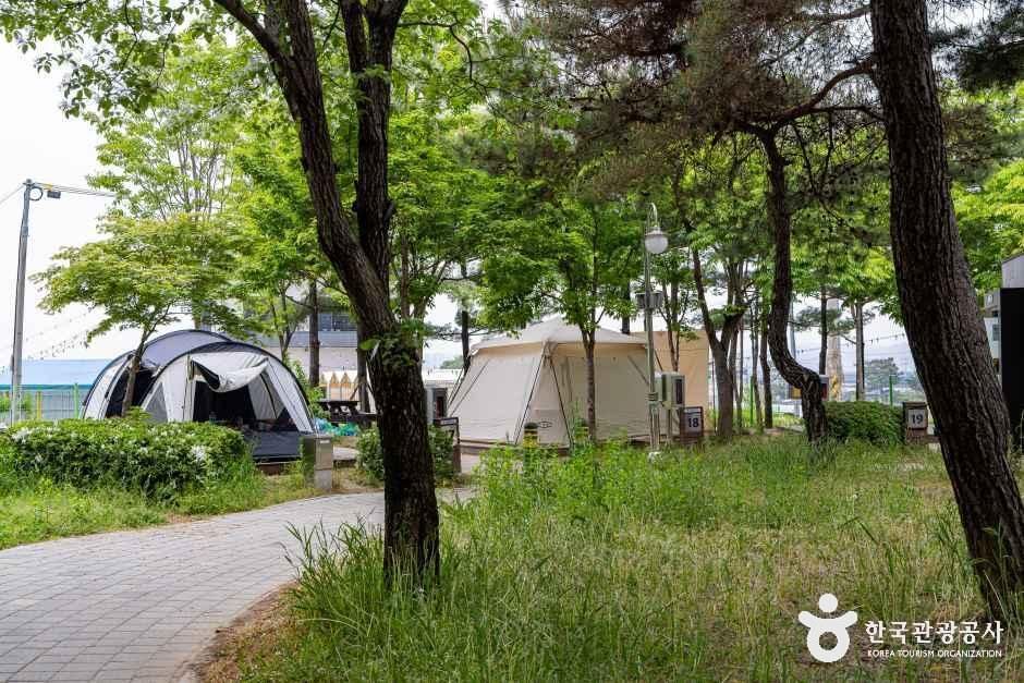 문암생태공원캠핑장 여행 추천 - 메고지고 문암생태공원캠핑장 여행 추천 - 메고지고