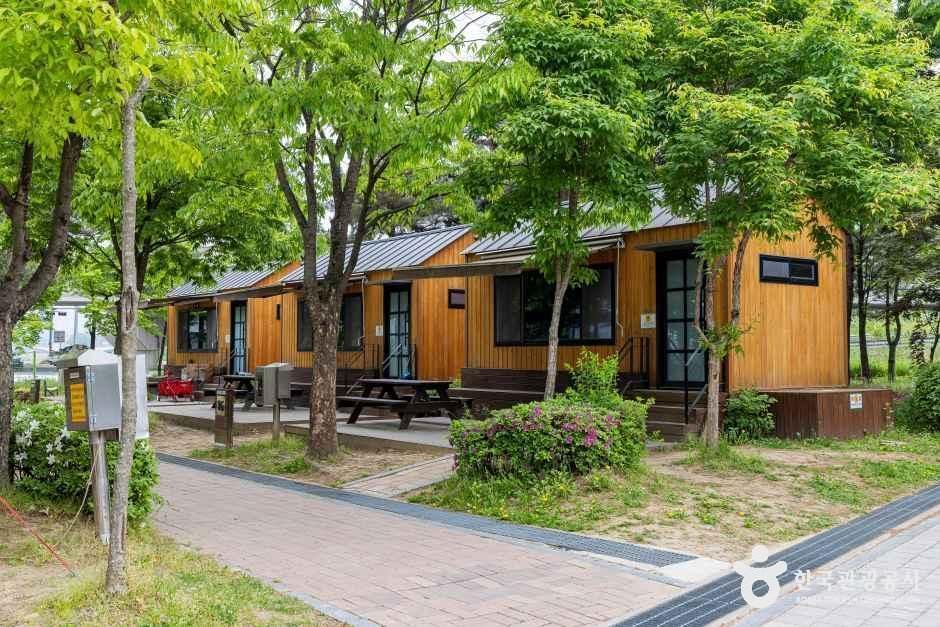 문암생태공원캠핑장 여행 추천 - 메고지고 문암생태공원캠핑장 여행 추천 - 메고지고
