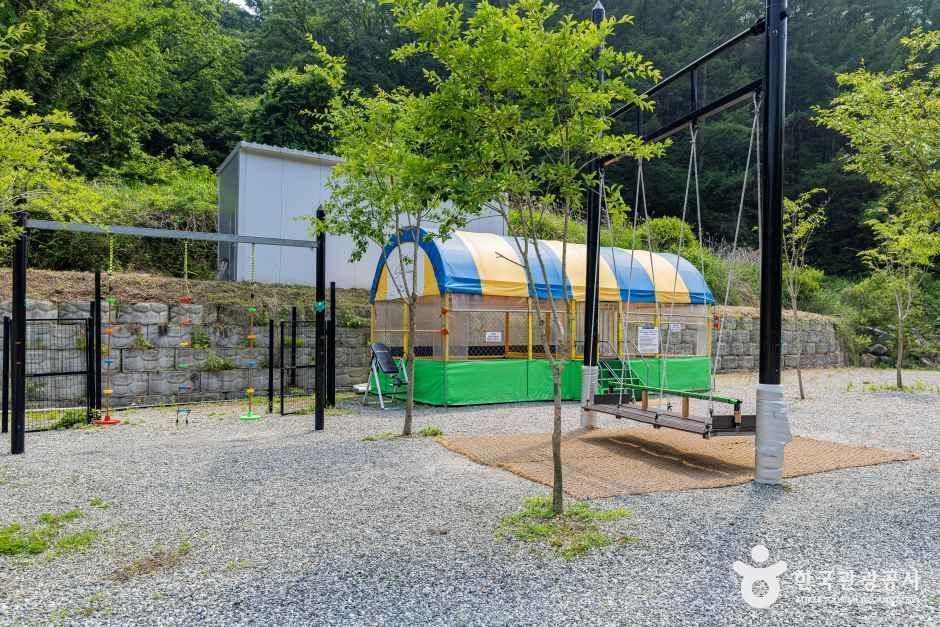 스타밸리캠핑장 여행 추천 - 메고지고 스타밸리캠핑장 여행 추천 - 메고지고