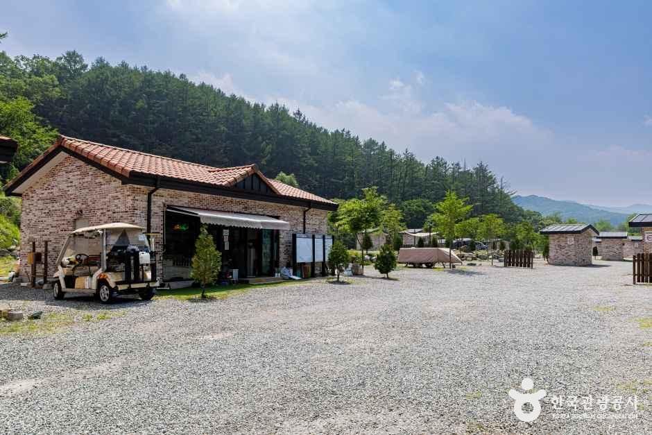 스타밸리캠핑장 여행 추천 - 메고지고 스타밸리캠핑장 여행 추천 - 메고지고