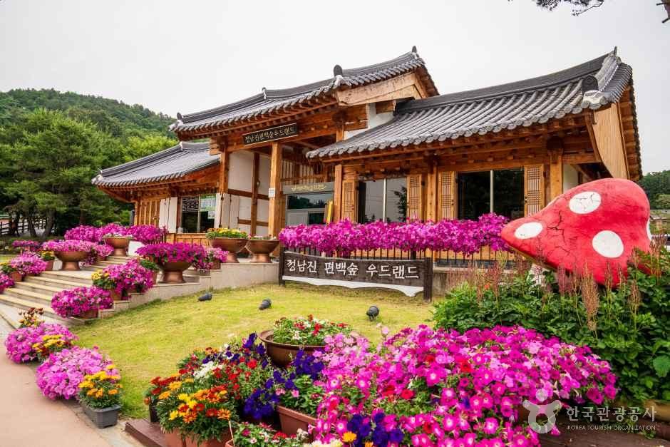 정남진 편백숲 우드랜드 여행 추천 - 메고지고 정남진 편백숲 우드랜드 여행 추천 - 메고지고