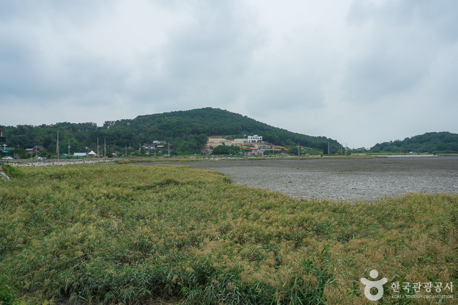 동검도 여행 추천 - 메고지고 동검도 여행 추천 - 메고지고