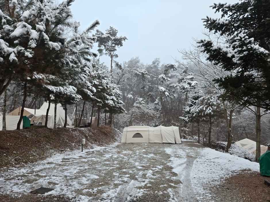 명봉산 솔밭관광농원 오토캠핑장 여행 추천 - 메고지고 명봉산 솔밭관광농원 오토캠핑장 여행 추천 - 메고지고