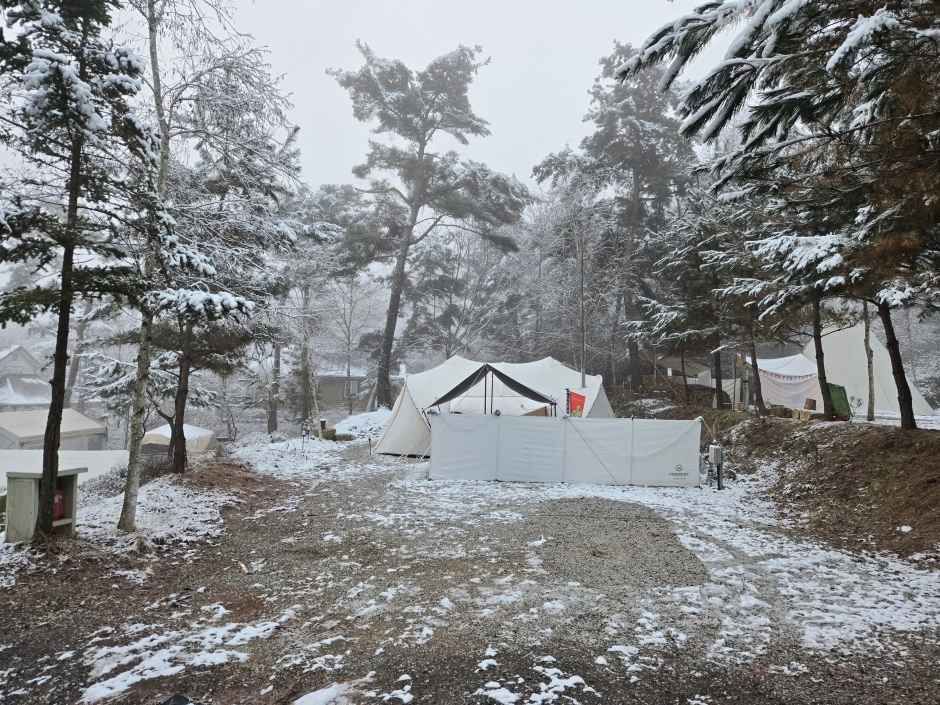 명봉산 솔밭관광농원 오토캠핑장 여행 추천 - 메고지고 명봉산 솔밭관광농원 오토캠핑장 여행 추천 - 메고지고