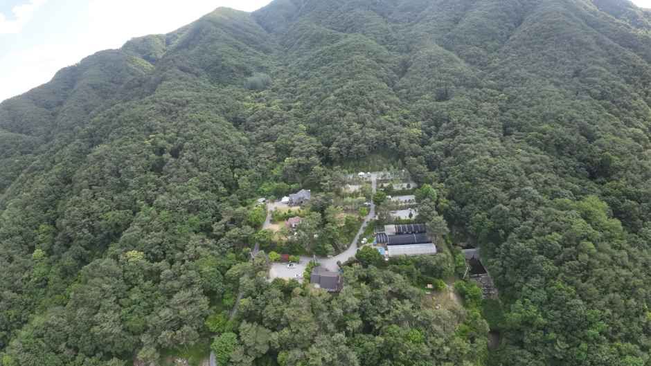명봉산 솔밭관광농원 오토캠핑장 여행 추천 - 메고지고 명봉산 솔밭관광농원 오토캠핑장 여행 추천 - 메고지고