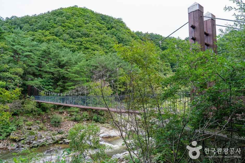 두타연 (강원평화지역 국가지질공원) 여행 추천 - 메고지고