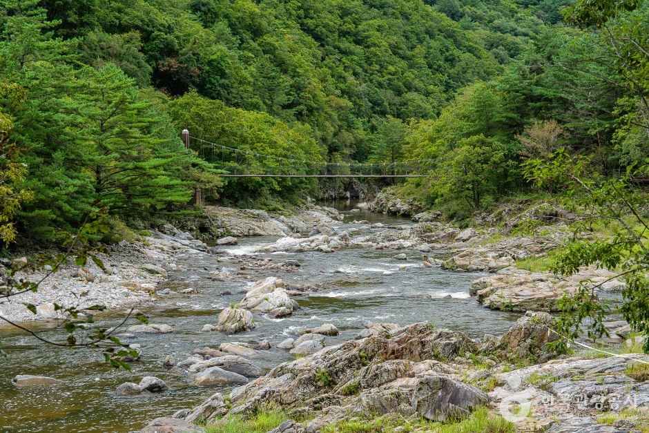 두타연 (강원평화지역 국가지질공원) 여행 추천 - 메고지고