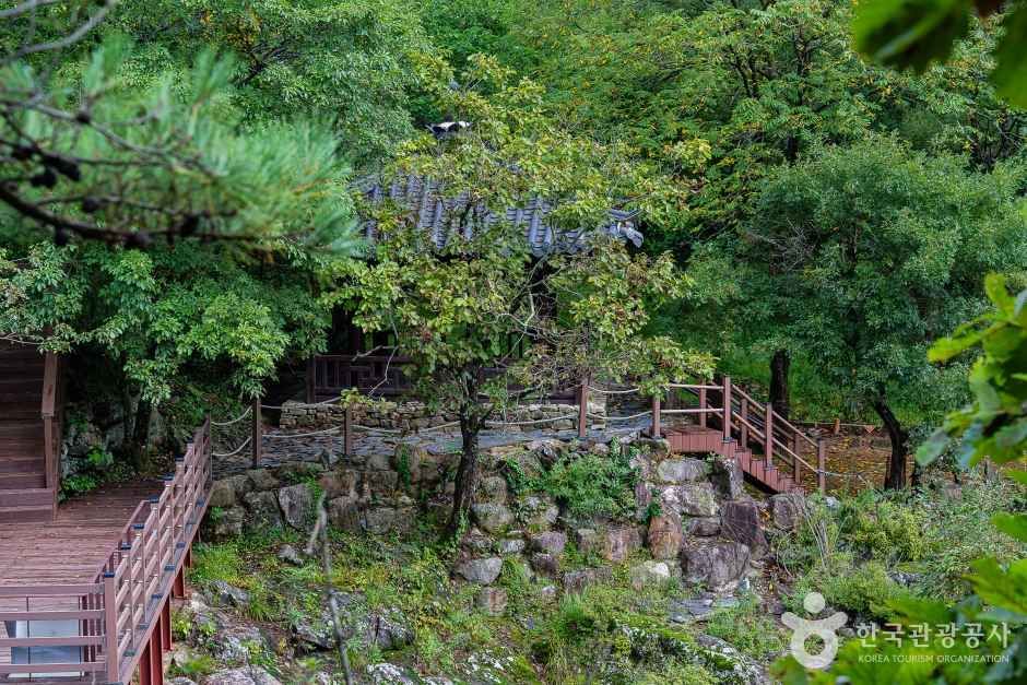 두타연 (강원평화지역 국가지질공원) 여행 추천 - 메고지고