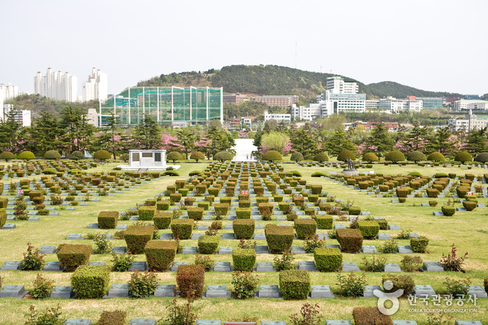 유엔기념공원 여행 추천 - 메고지고 유엔기념공원 여행 추천 - 메고지고