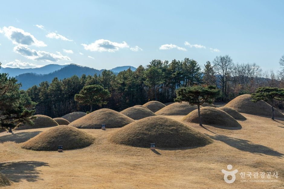 합천 옥전 고분군 여행 추천 - 메고지고 합천 옥전 고분군 여행 추천 - 메고지고
