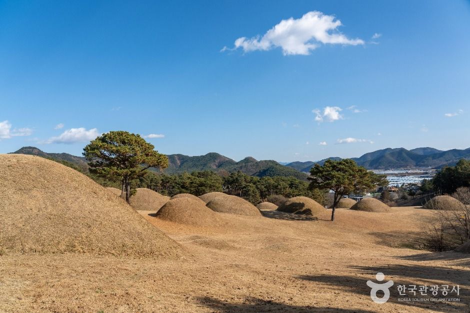 합천 옥전 고분군 여행 추천 - 메고지고 합천 옥전 고분군 여행 추천 - 메고지고