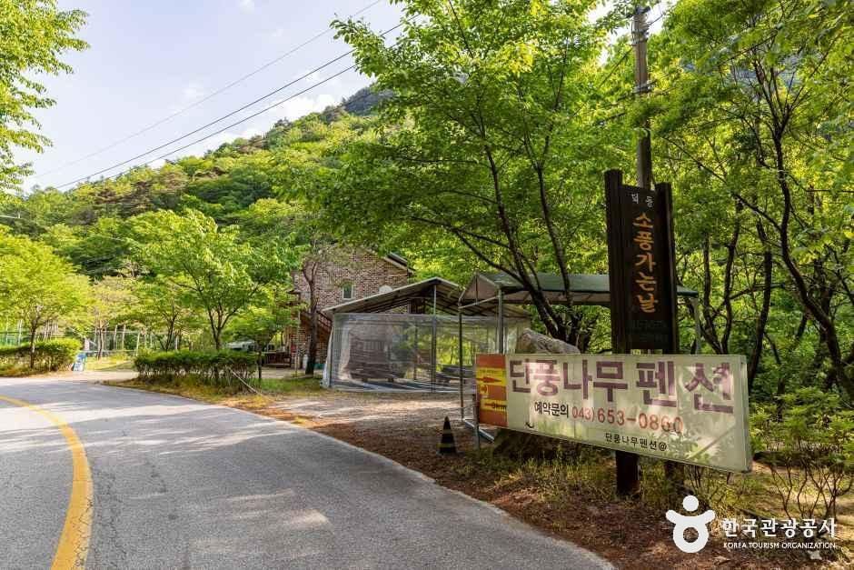 덕동소풍가는날 펜션캠핑장 여행 추천 - 메고지고