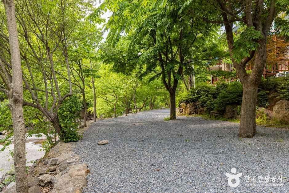 덕동소풍가는날 펜션캠핑장 여행 추천 - 메고지고