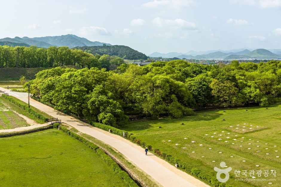 경주 계림 여행 추천 - 메고지고