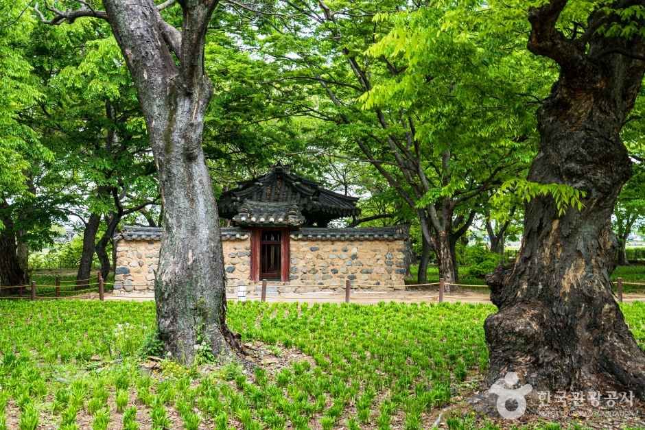 경주 계림 여행 추천 - 메고지고