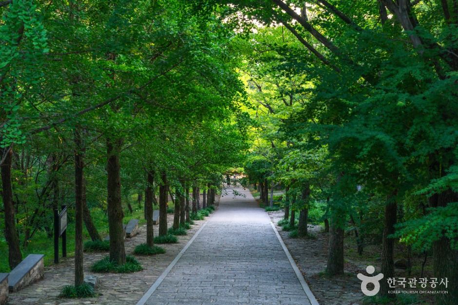 부석사 [유네스코 세계유산] 여행 추천 - 메고지고