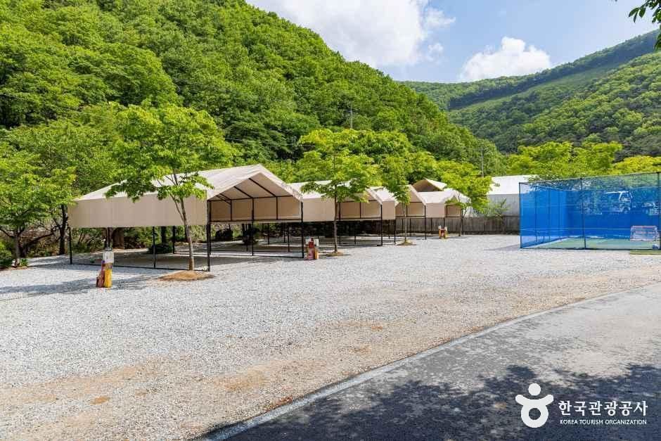 가마실캠핑장 여행 추천 - 메고지고 가마실캠핑장 여행 추천 - 메고지고