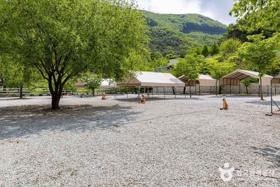 가마실캠핑장 여행 추천 - 메고지고 가마실캠핑장 여행 추천 - 메고지고