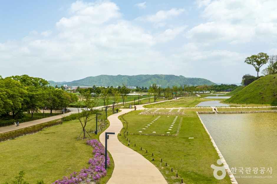 경주 월성 여행 추천 - 메고지고