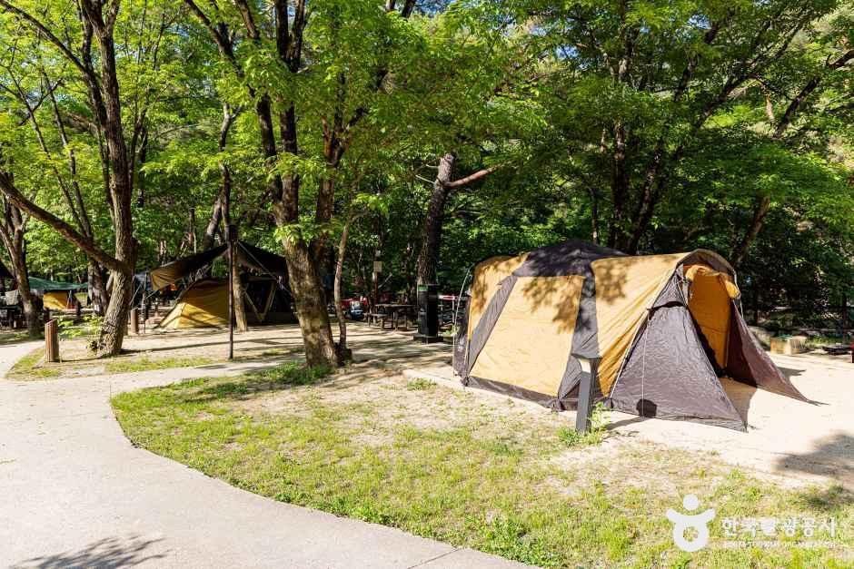 월악산국립공원 닷돈재야영장 여행 추천 - 메고지고 월악산국립공원 닷돈재야영장 여행 추천 - 메고지고