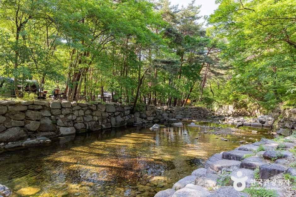 월악산국립공원 닷돈재야영장 여행 추천 - 메고지고 월악산국립공원 닷돈재야영장 여행 추천 - 메고지고
