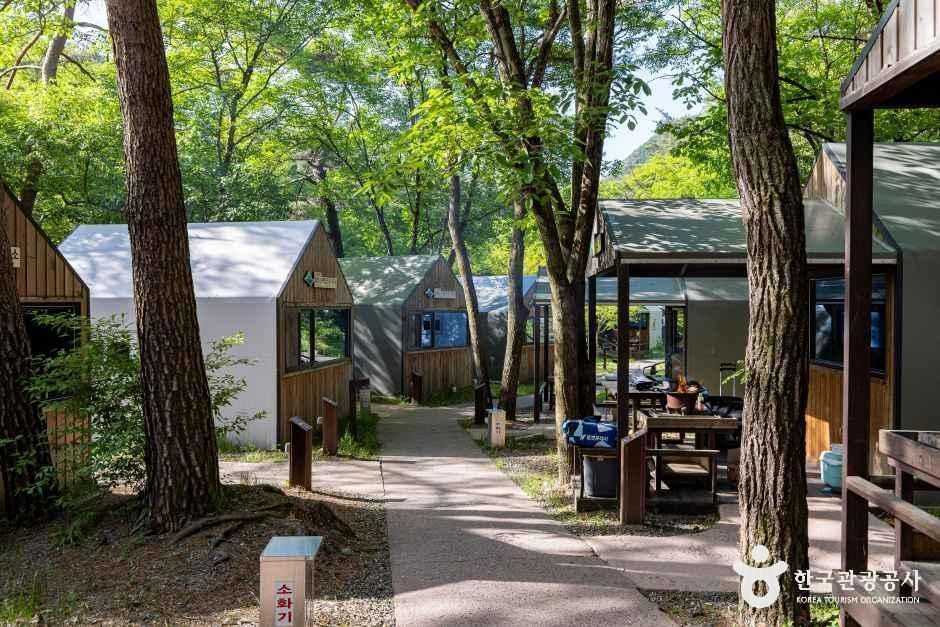 월악산국립공원 닷돈재야영장 여행 추천 - 메고지고 월악산국립공원 닷돈재야영장 여행 추천 - 메고지고