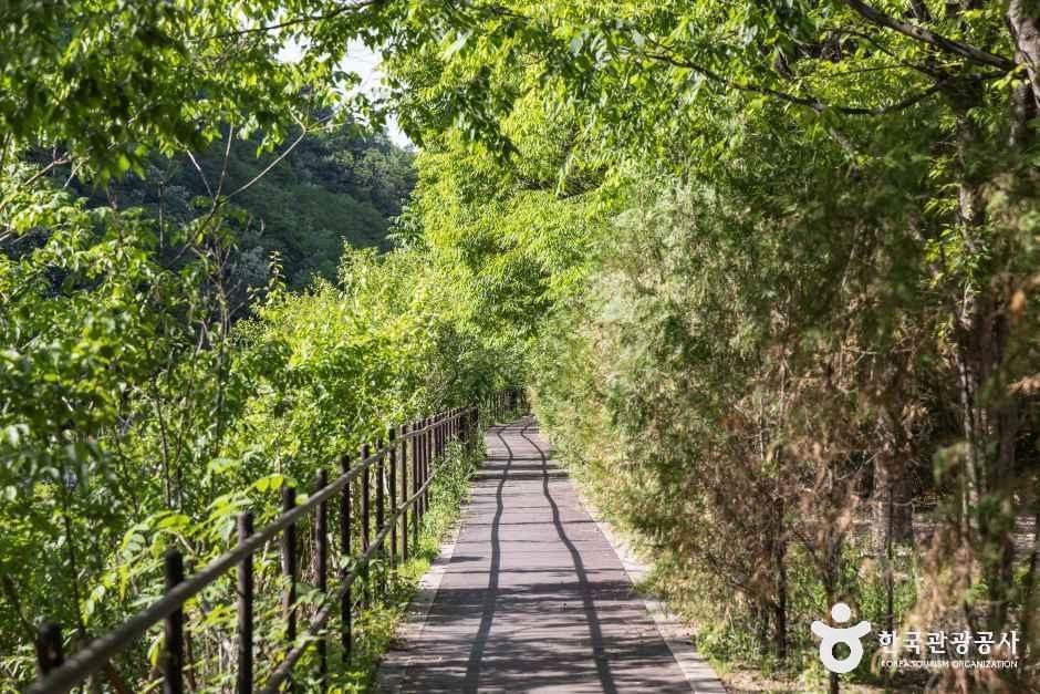 월악산국립공원 송계야영장 여행 추천 - 메고지고