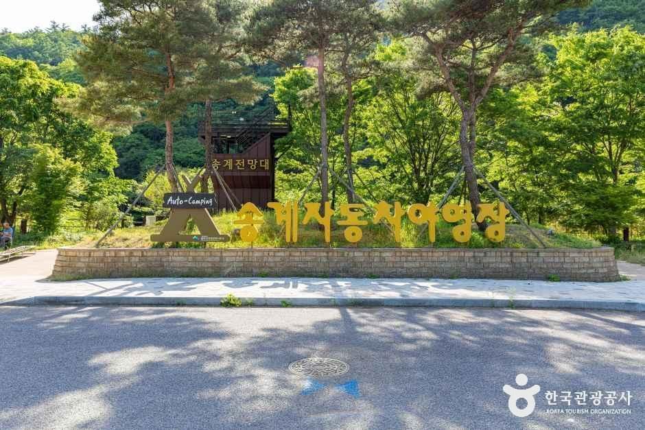 월악산국립공원 송계야영장 여행 추천 - 메고지고