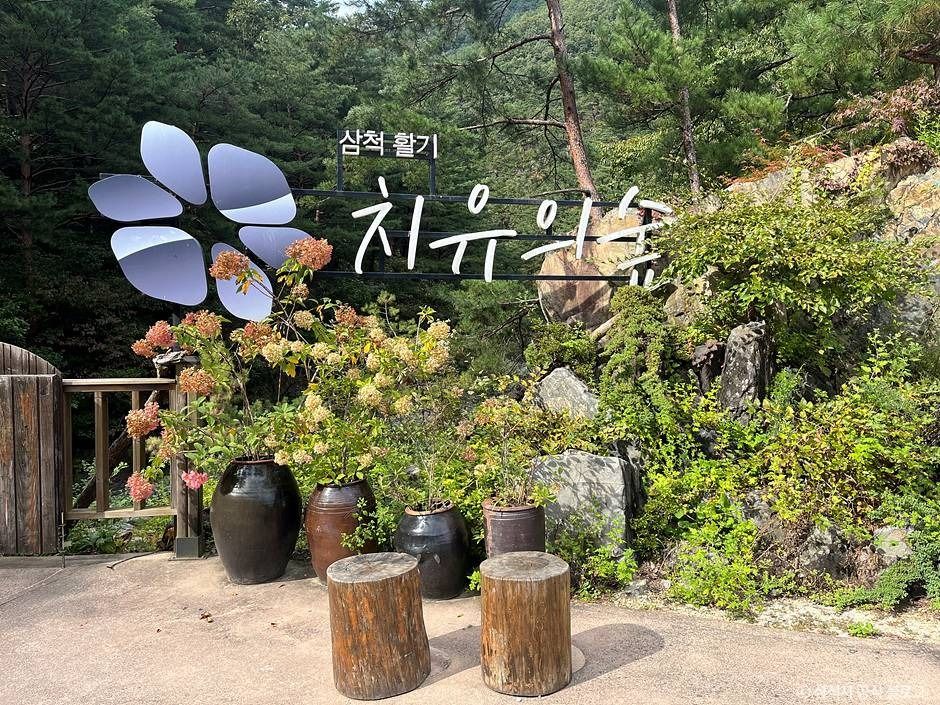 삼척 활기 치유의 숲 여행 추천 - 메고지고 삼척 활기 치유의 숲 여행 추천 - 메고지고