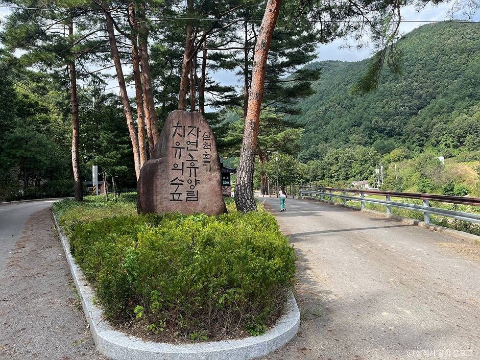 삼척 활기 치유의 숲 여행 추천 - 메고지고 삼척 활기 치유의 숲 여행 추천 - 메고지고