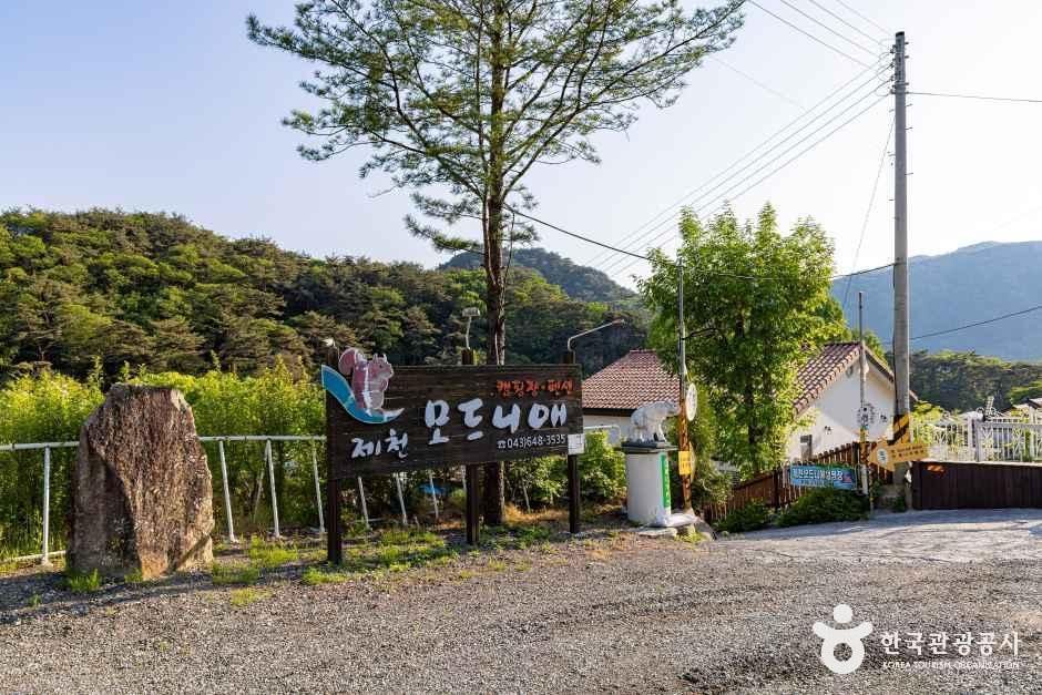 모드니애캠핑장펜션 여행 추천 - 메고지고 모드니애캠핑장펜션 여행 추천 - 메고지고