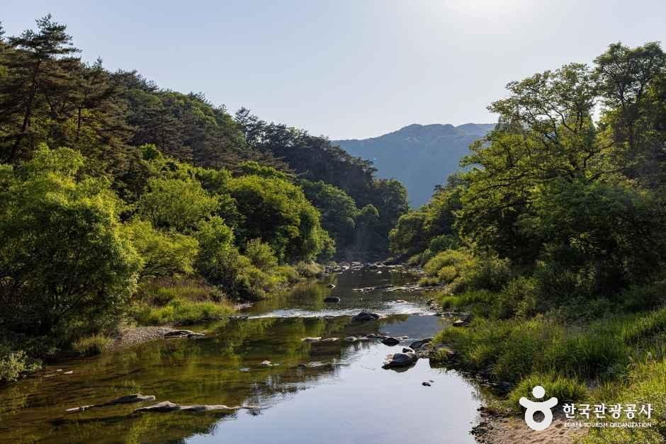 모드니애캠핑장펜션 여행 추천 - 메고지고 모드니애캠핑장펜션 여행 추천 - 메고지고