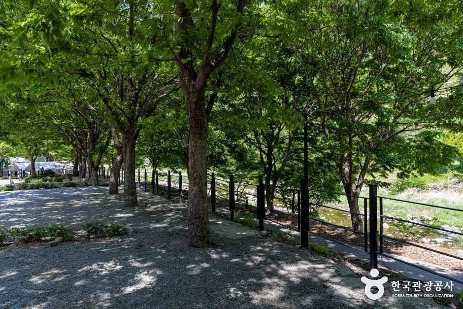 엘림펜션오토캠핑장 여행 추천 - 메고지고 엘림펜션오토캠핑장 여행 추천 - 메고지고