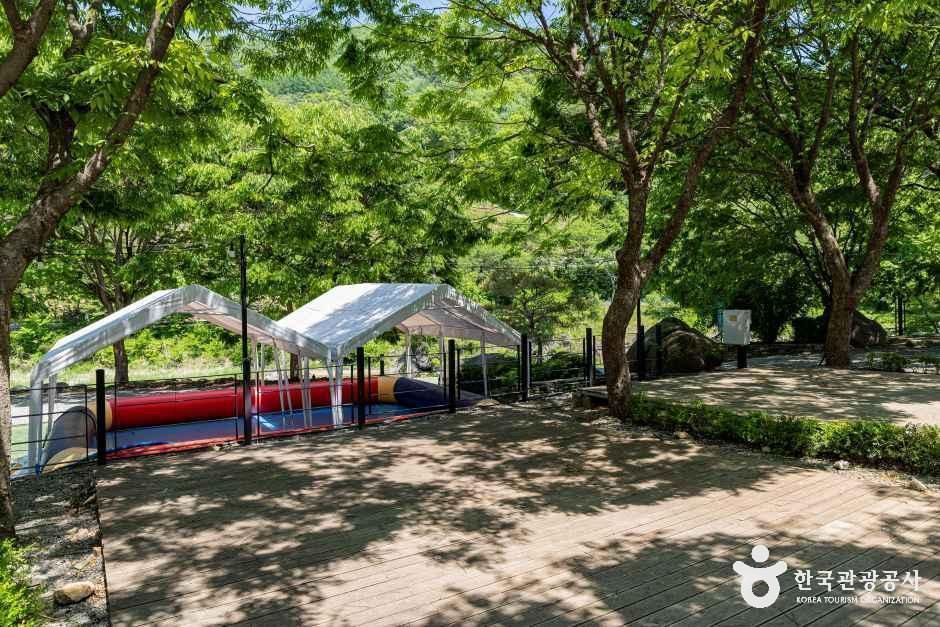 엘림펜션오토캠핑장 여행 추천 - 메고지고 엘림펜션오토캠핑장 여행 추천 - 메고지고