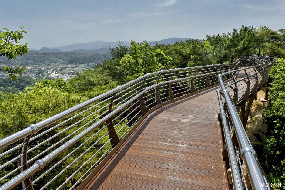 소금산 스카이워크 브릿지(소금산 출렁다리) 여행 추천 - 메고지고 소금산 스카이워크 브릿지(소금산 출렁다리) 여행 추천 - 메고지고