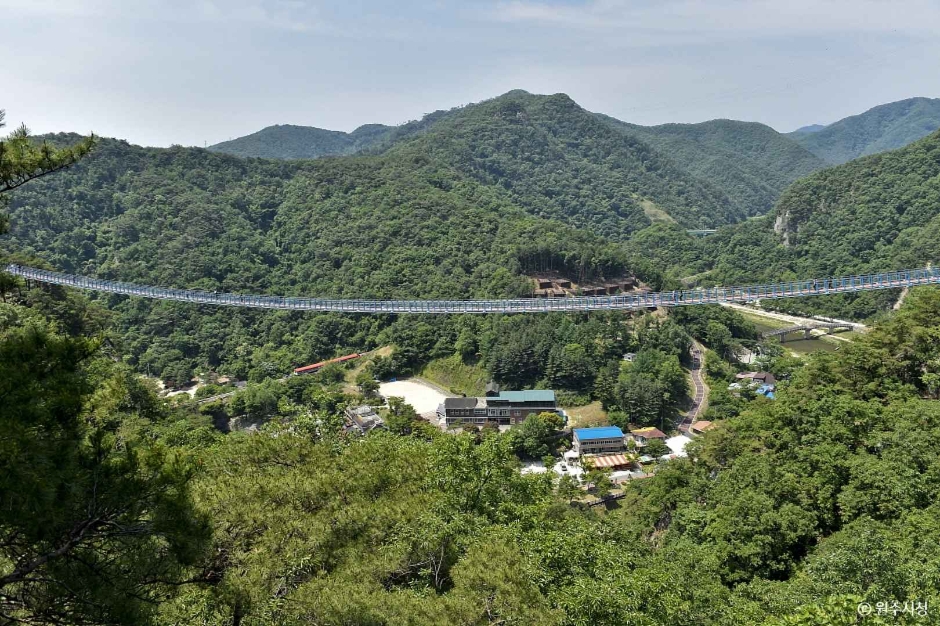 소금산 스카이워크 브릿지(소금산 출렁다리) 여행 추천 - 메고지고 소금산 스카이워크 브릿지(소금산 출렁다리) 여행 추천 - 메고지고