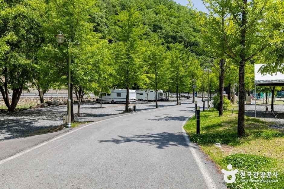 옥전캠핑장 여행 추천 - 메고지고