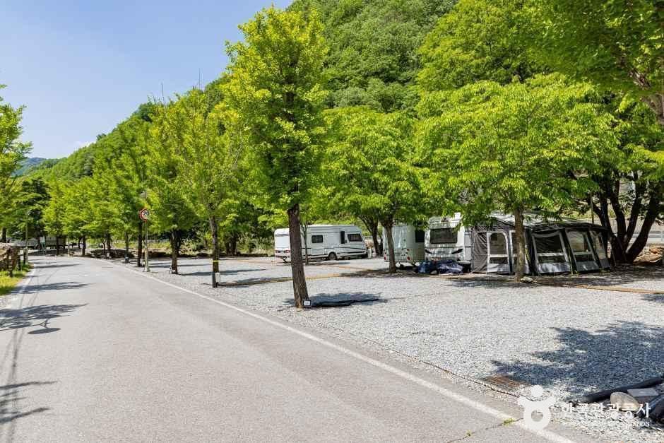 옥전캠핑장 여행 추천 - 메고지고