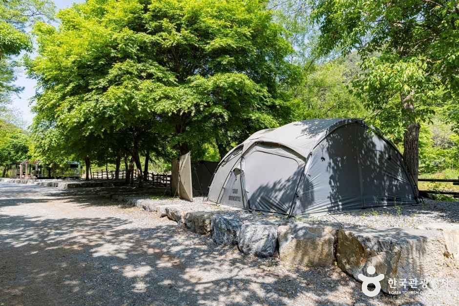 용두산오토캠핑장 여행 추천 - 메고지고