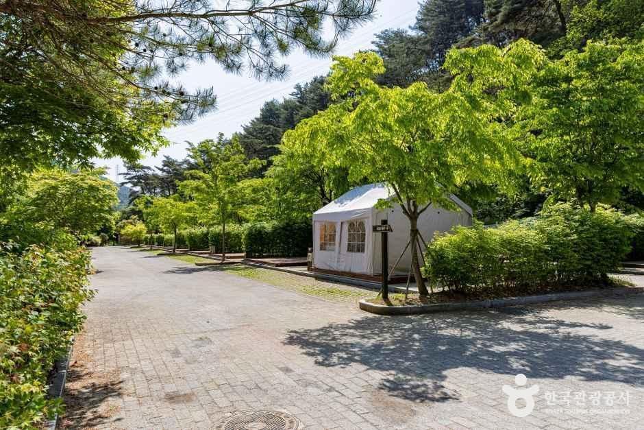 용두산오토캠핑장 여행 추천 - 메고지고