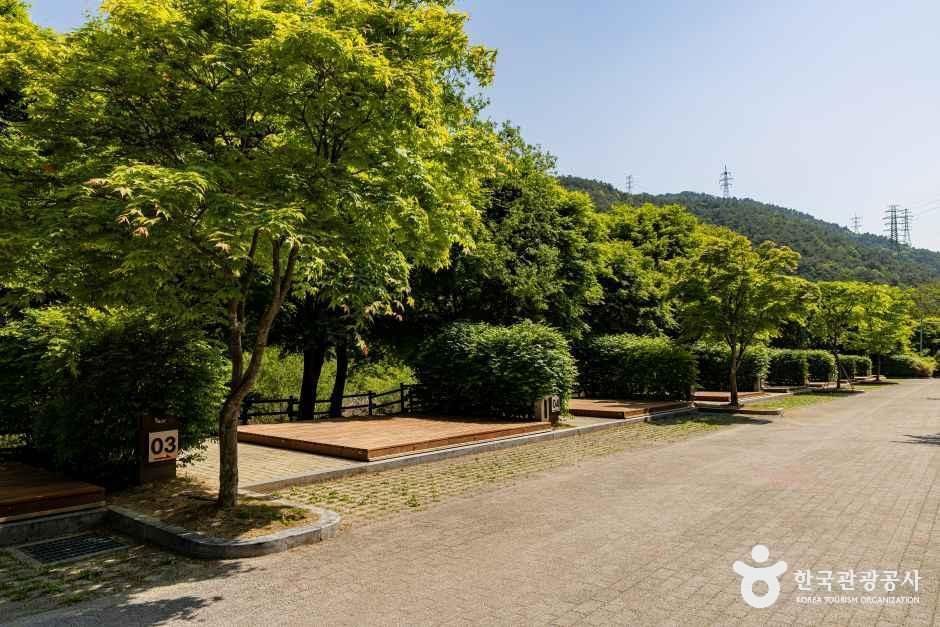 용두산오토캠핑장 여행 추천 - 메고지고
