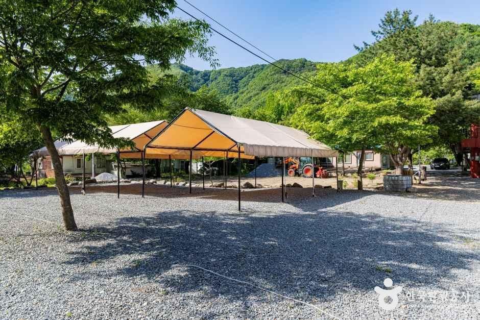 월악 파머스 캠핑장 여행 추천 - 메고지고 월악 파머스 캠핑장 여행 추천 - 메고지고