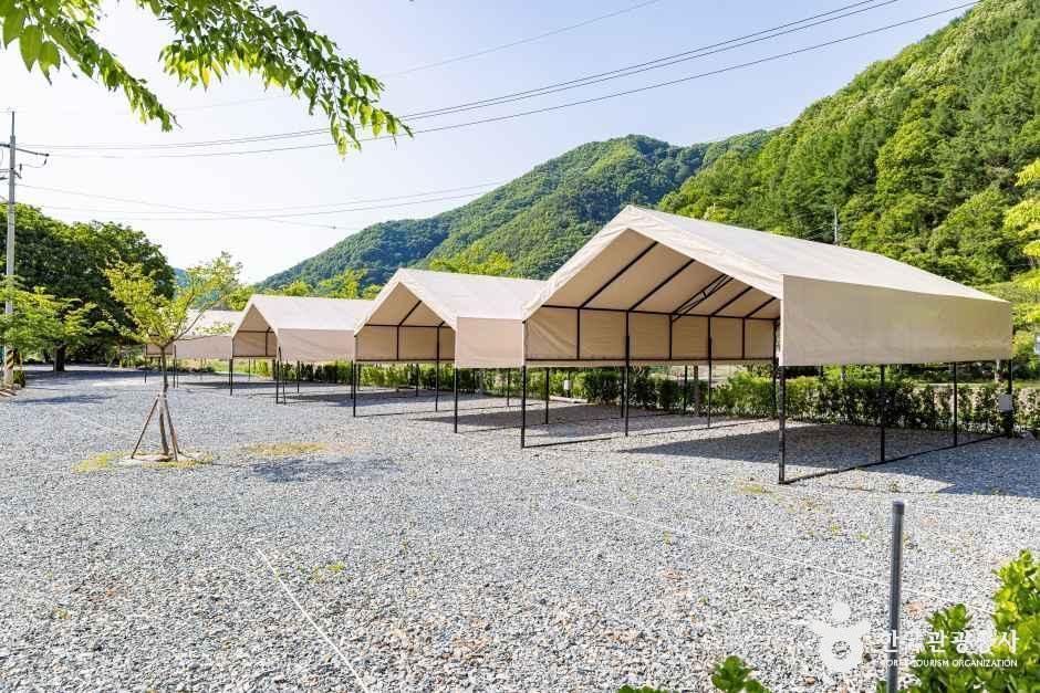 월악 파머스 캠핑장 여행 추천 - 메고지고 월악 파머스 캠핑장 여행 추천 - 메고지고