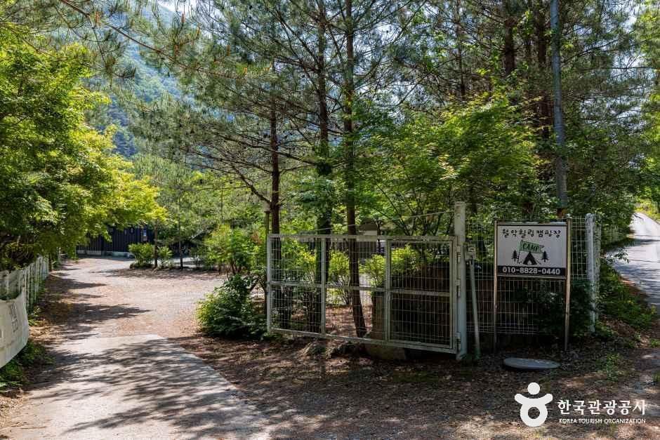 월악힐링캠핑장 여행 추천 - 메고지고 월악힐링캠핑장 여행 추천 - 메고지고