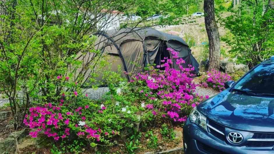 두미리관광농원 여행 추천 - 메고지고 두미리관광농원 여행 추천 - 메고지고
