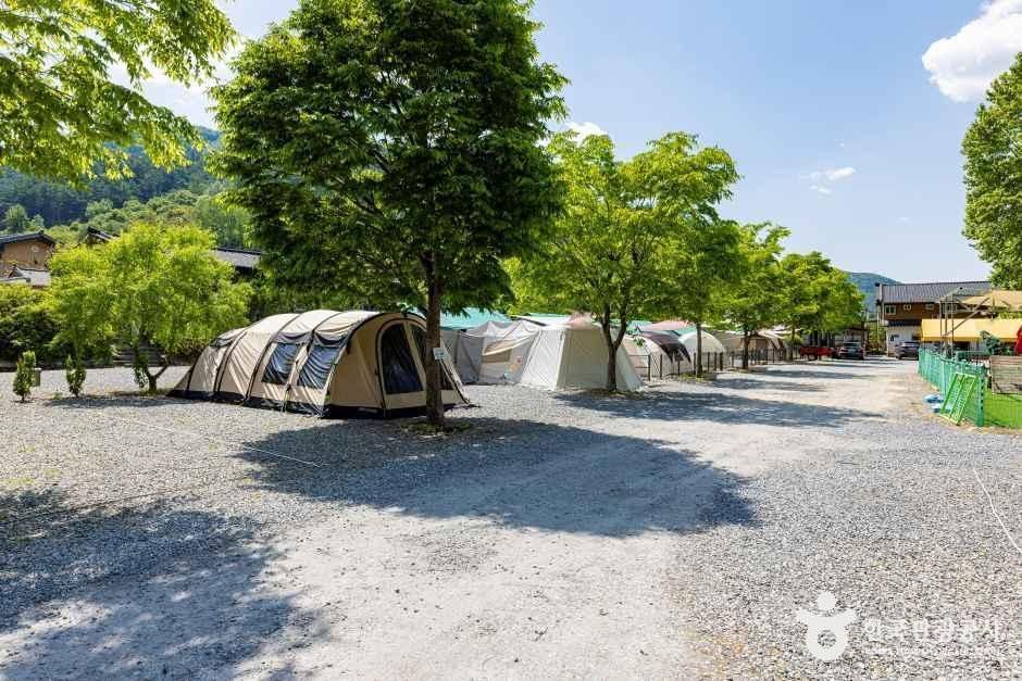 제천패밀리오토캠핑장 여행 추천 - 메고지고